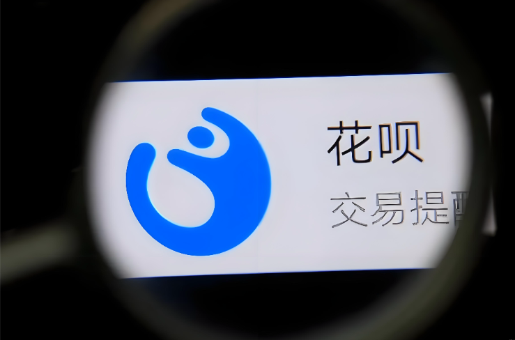 为什么花呗有额度不能付款给商家？