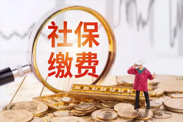 怎样查社保缴费记录?7个攻略交给您怎么查询!