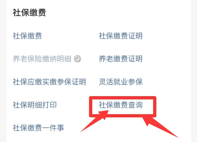 怎样查社保缴费记录?7个攻略交给您怎么查询!